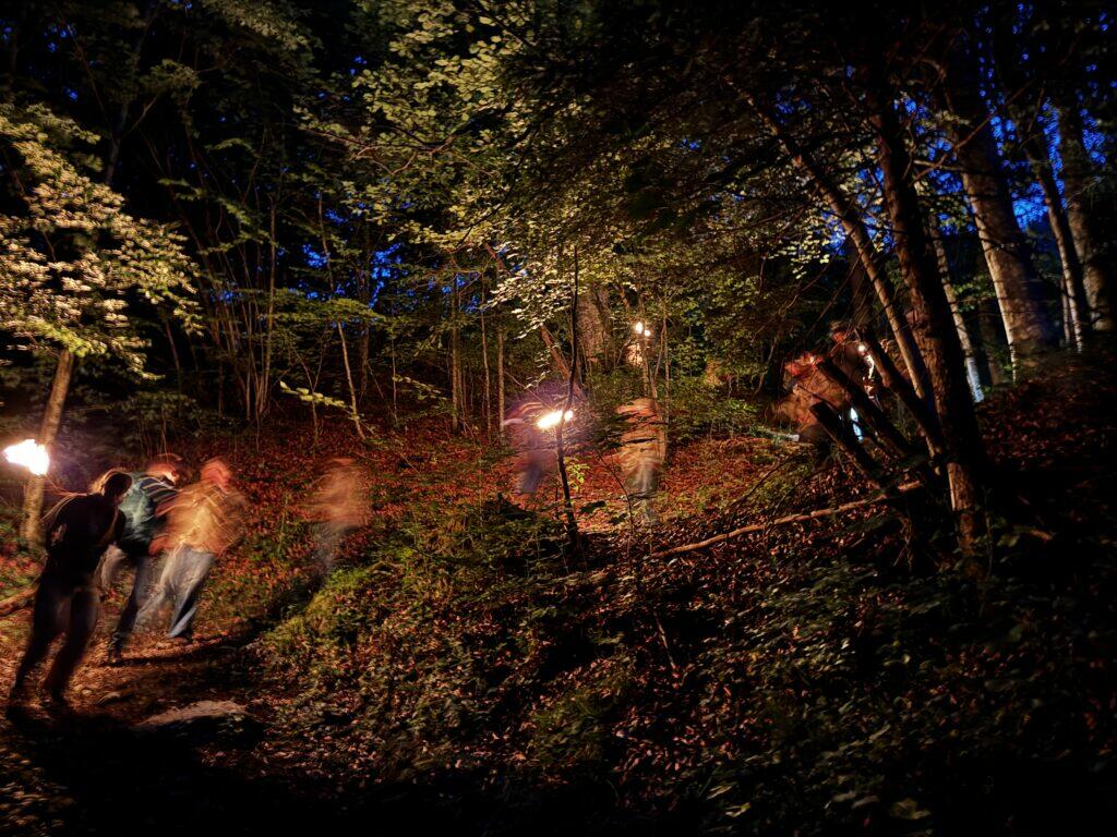 Beitragsbild von: Piokurs 2025